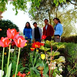 Olive House Bed and Breakfast, hotel in Christchurch