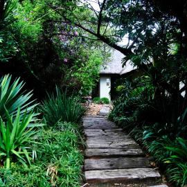 Birch Tree Cottage، فندق في جوهانسبرغ