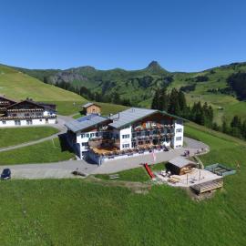Hotel Hertehof, hotel v destinácii Damuls