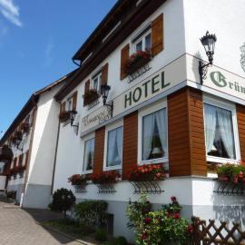 Hotel Landgasthof Grüner Baum, viešbutis mieste Hochdorf