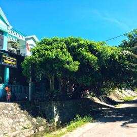 Trang Vu Homestay Cu Lao Cham, hotel v destinácii Tân Hiệp