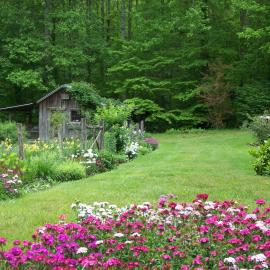 Garden of Eden Cabins, hotell i Cosby