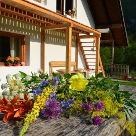 Bovec Home At Three Samoyeds, hotel a Soča