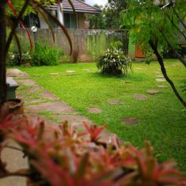 Baan Bua Guest House, hotel in Chiang Rai
