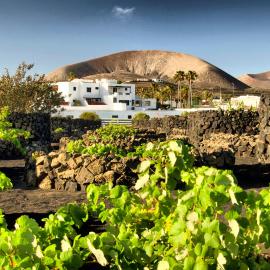 Hotel Rural Finca de La Florida โรงแรมในซานบาร์โตโลเม