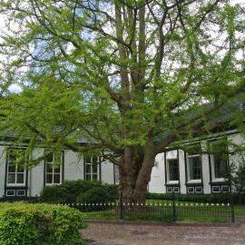 Pastorie Tijdverblijf, Hotel in Zuidhorn