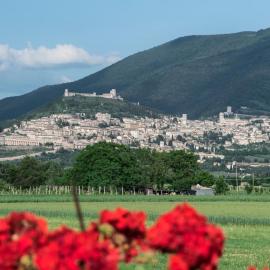 Camere Mariella, Hotel in Bastia Umbra