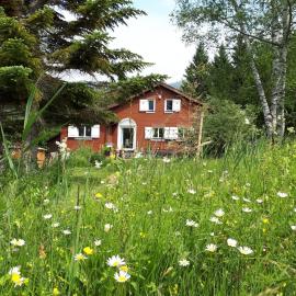 Chalet Chic mit Hot Pot
