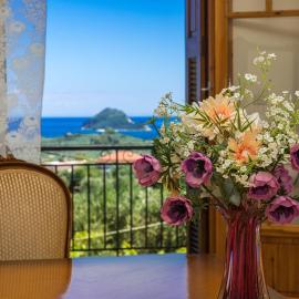 Irida's Apartment, hotel u gradu 'Lithakia'
