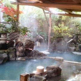 Onyado Hishiya Torazo, hotel in Yamanouchi