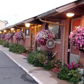 Swiss Mountain Motel，Thayne的飯店