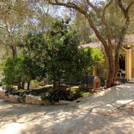 Villa Eleni - Studios, hotel v mestu Liapades