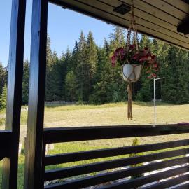 Pensiunea Maria-Bucovina, hotel in Vatra Moldoviţei