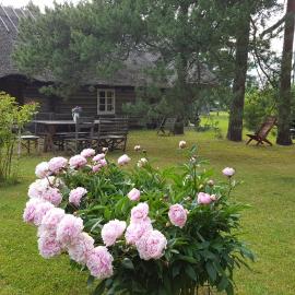 Männi Summerhouse, hotel u gradu Kassari