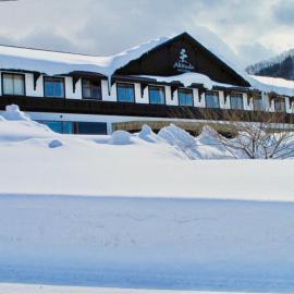 Altitude Nozawa, hotel in Nozawa Onsen