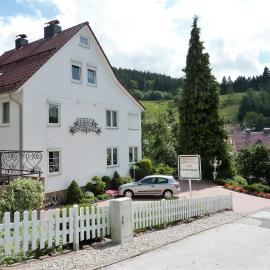 Pension Rheingold Garni, hotel in Bad Grund