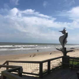 Ocean Village Hotel, hotel i Surfside Beach