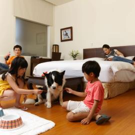 LIDO FORESTRY SPA RESORT, hotel Jangmejben
