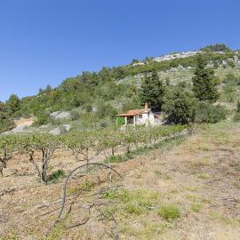 House Silvana, hotelli kohteessa Postira