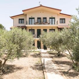 Olive Tree Apartments
