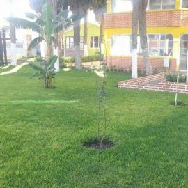 Hotel Cipreses, hotel u gradu 'Ixmiquilpan'
