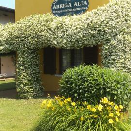 Arriga Alta, hotel di Lonato