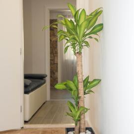 Luxury apartments Petrovac, hotel in Sinj