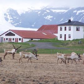 Guesthouse Holmur โรงแรมในHólmur