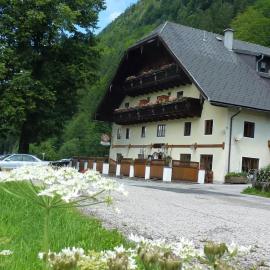 Gasthof Steinbräu, hotel a Faistenau