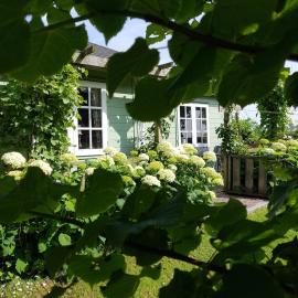 Romantisch Huisje nabij het strand met uitzicht op de tulpenvelden, hotel in Julianadorp