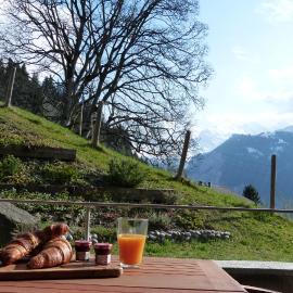 Roossi-Huus 2, hotel em Wengen