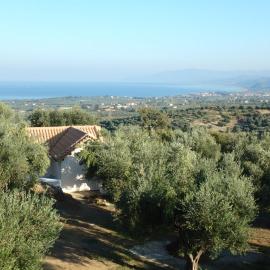 Ferienhaus Olive Garden, hotel Kipariszíában
