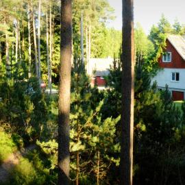 Roosi Holiday Home, hotel in Rannaküla