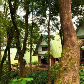 Misty Woods Resort, hotel sa Kakkabe