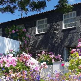 Casa do Zé - AL, hotel in Manadas