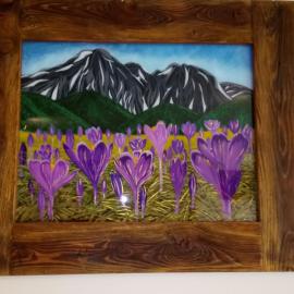 Apartament Krokus SPA