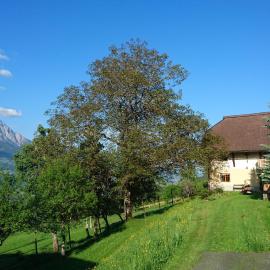 Chalets Alpin Kronhof, hotel v destinácii Kötschach