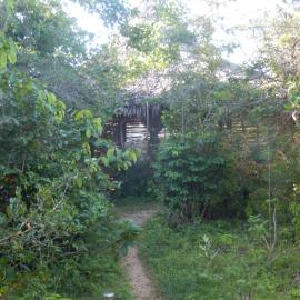 Wasini Island Bandas, viešbutis mieste Wasini