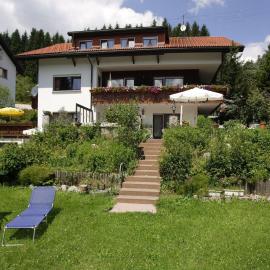 Haus Bernhardt-Fromm, hotell sihtkohas St. Blasien
