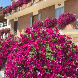 La Signora Dei Fiori, hotel a Gubbio