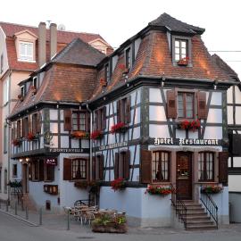Hotel Restaurant Dontenville, hotel in Châtenois