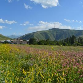 Azoyan Holiday Resort, Hotel in Sisian