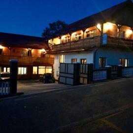 Pensiunea Bontos, hotel a Budeşti