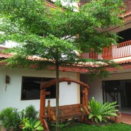 Villa Oranje Chiang Mai