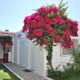 Apartamentos Costa, хотел в Коста да Капарика