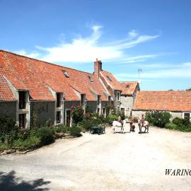 gites de Warincthun, hotel in Audinghen