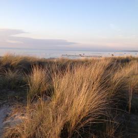Bungalow Ostseeblick, hotel in Insel Poel