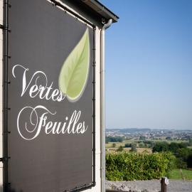 Vertes Feuilles, Hotel in Saint-Sauveur