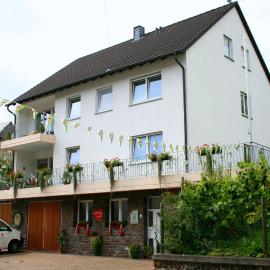 Ferienweingut Hensler, hotel in Briedel