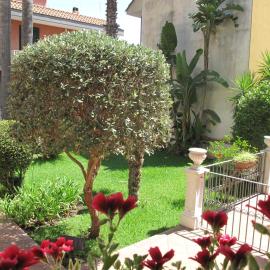 Sicily for you Apartment